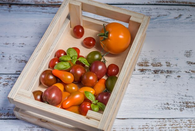 Vários tomates coloridos e folhas de manjericão em uma caixa de madeira
