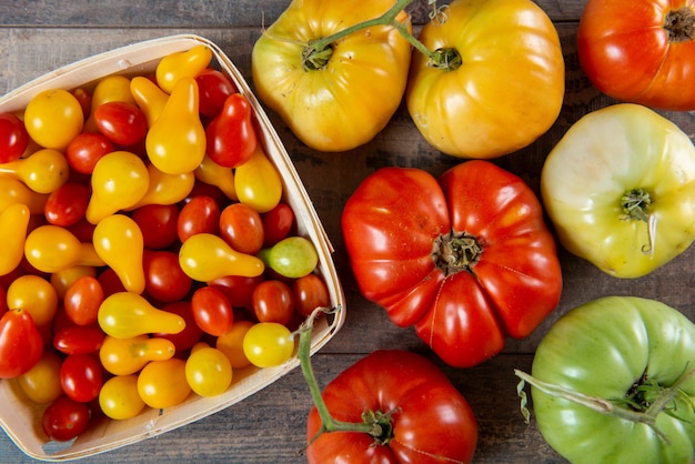 Vários tomates, pequenos e grandes, vermelhos e amarelos