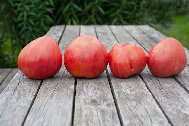 Varios tomates rojos grandes en una mesa de madera