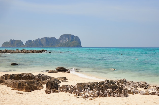 Varios turistas nadan en el mar en la hermosa playa de una de las islas de Tailandia