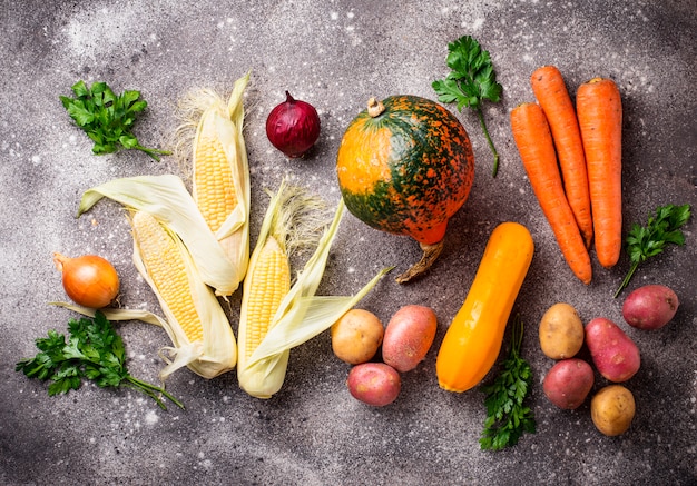 Vários vegetais de outono, conceito de colheita