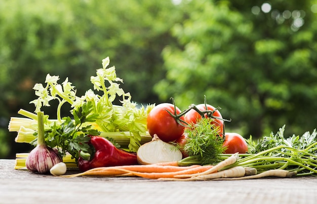 Vários vegetais frescos caseiros colocados na mesa no jardim no dia de verão Variedade de vegetais orgânicos para nutrição saudável Árvores verdes em um fundo desfocado