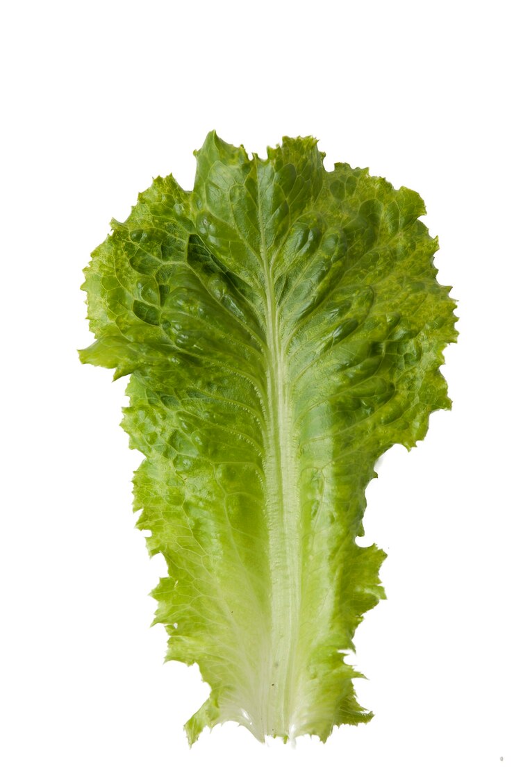 Foto vários vegetais verdes em um fundo claro, vista superior
