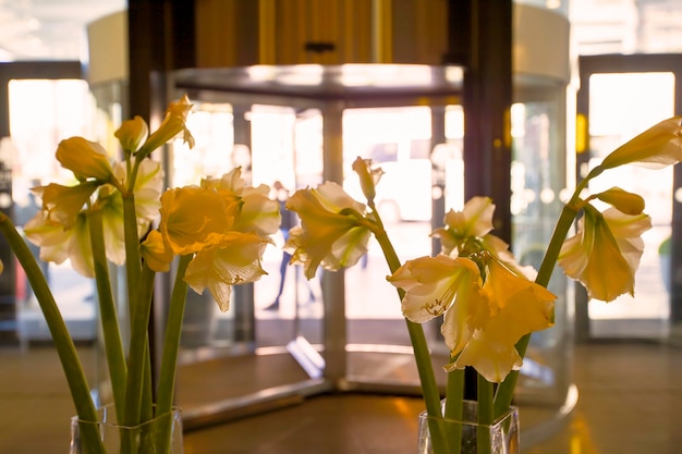 Vase mit gelben gladiolen vor dem hintergrund von glastüren. lobby im öffentlichen bereich.