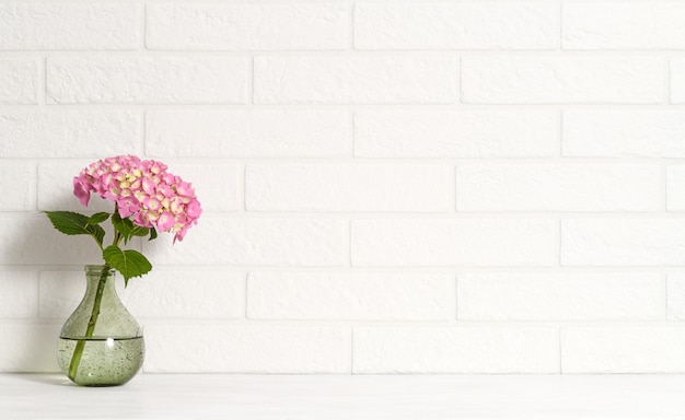 Vase mit rosa Hortensie auf weißer Mauer