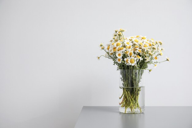 Vase mit schönen Kamille auf Tisch gegen Licht