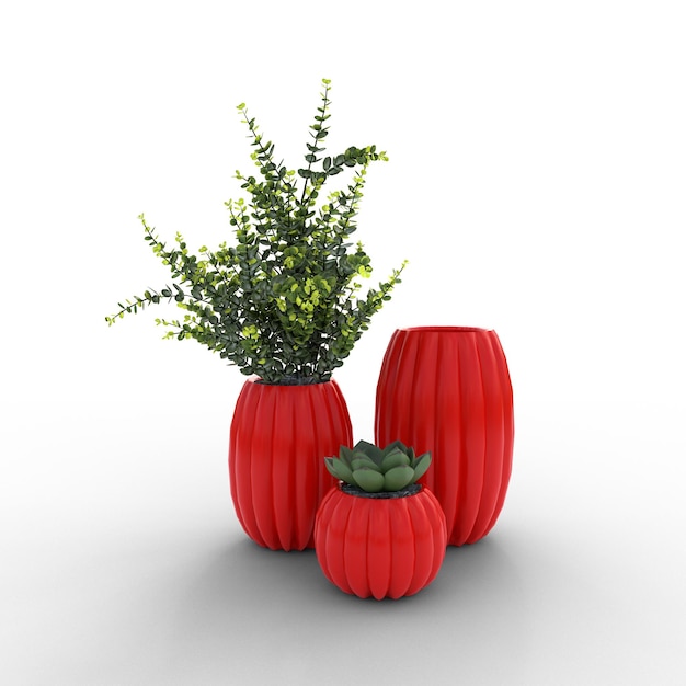 Vasen mit Pflanzen und Sukkulenten auf weißem Hintergrund 3D-Darstellung