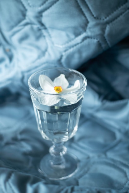 Un vaso de agua con una flor blanca dentro