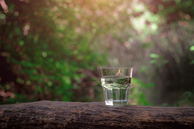 Un vaso de agua limpia sobre la naturaleza en el bosque y el río Concepto de un estilo de vida saludable y respeto por el medio ambiente