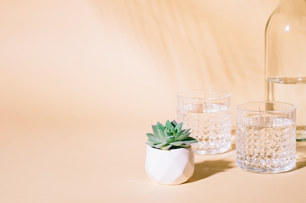 Vaso de agua sobre fondo pastel con sombra de hojas de palmeras tropicales y plantas suculentas