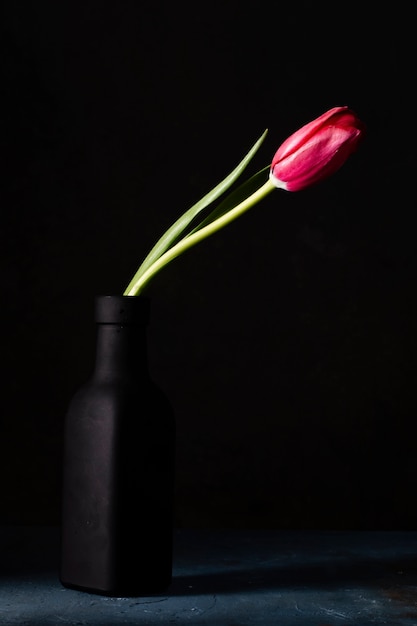 Foto vaso alto ângulo com tulipa