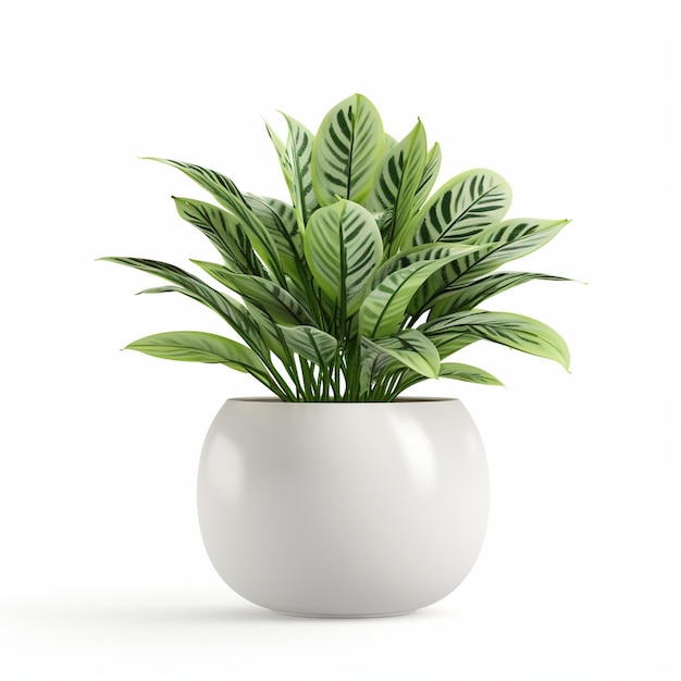 Vaso branco com uma planta verde