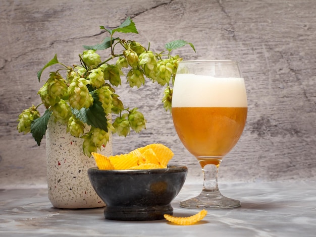 Vaso de cerveza con rama de lúpulo y papas fritas sobre fondo gris