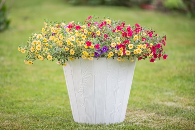 Vaso de flores branco com pequenas flores coloridas em uma grama verde recém-cortada.