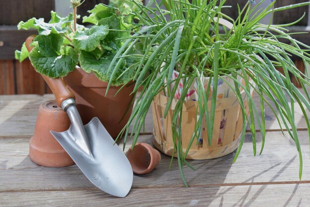 vaso de flores e planta com pá em mesa de madeira no terraço