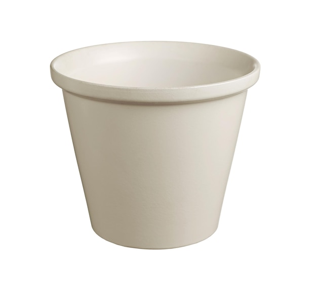 Vaso de flores isolado no fundo branco