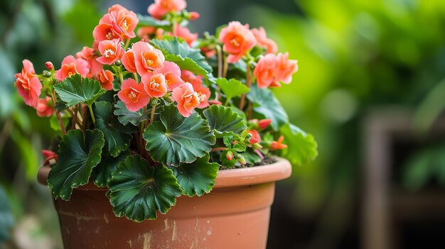 Vaso de flores