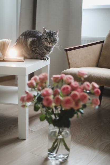 Vaso de gato fofo com poltrona de rosas em um quarto aconchegante. Decoração de interiores