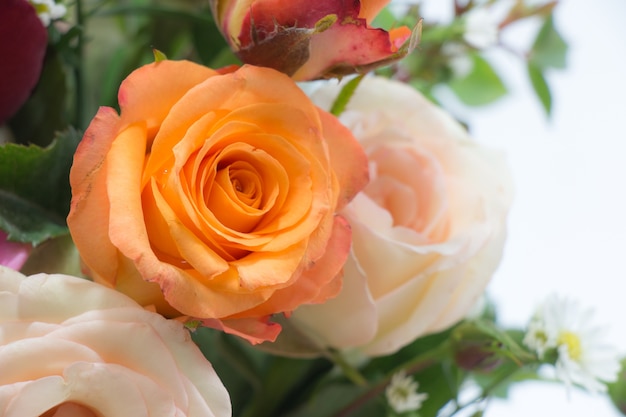 Vaso de rosas buquê, linda flor rosa em vidro no conceito de dia dos namorados