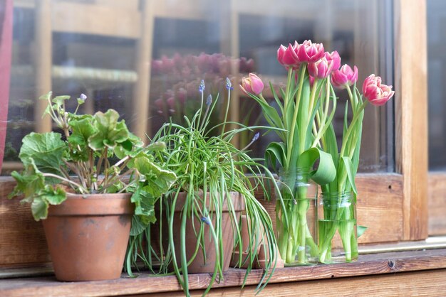 vaso e buquê de tulipas em vaso na frente de uma janela de baía em terraço de madeira