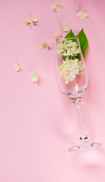 Un vaso con flores blancas en el interior sobre un fondo rosa