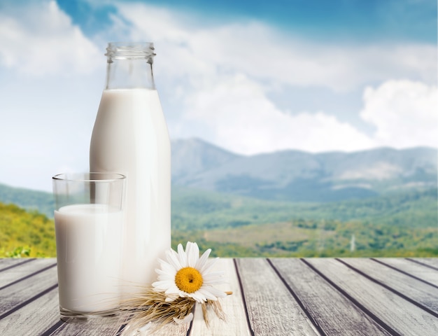 Foto vaso de leche y botella en el fondo