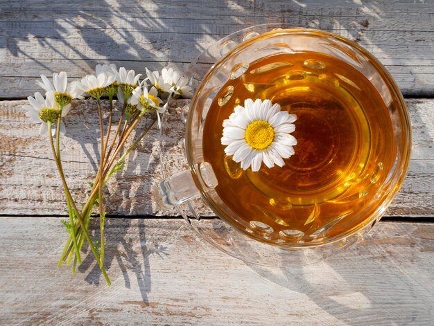 Vaso de vidrio con té de manzanilla entre margaritas florecientes en los rayos del sol poniente en Grecia