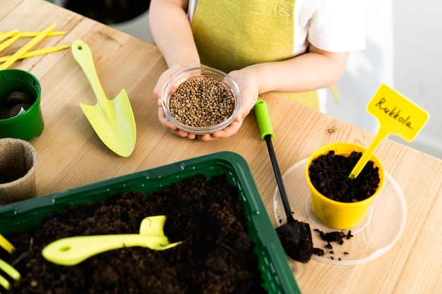 Vasos com solo sobre uma mesa de madeira para o plantio de sementes e mudas de vegetais, micro-verdes, rúcula, conceito de jardinagem e plantio de plantas.