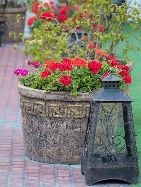 Foto vasos de flores, lâmpadas