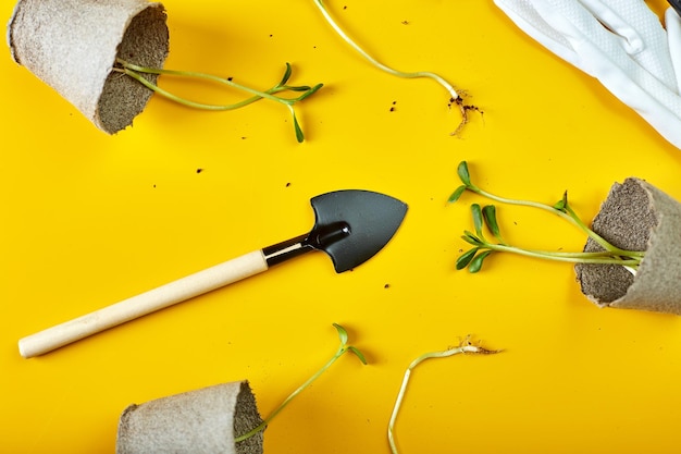 Vasos de turfa planos, ferramentas de jardinagem e verduras em fundo amarelo