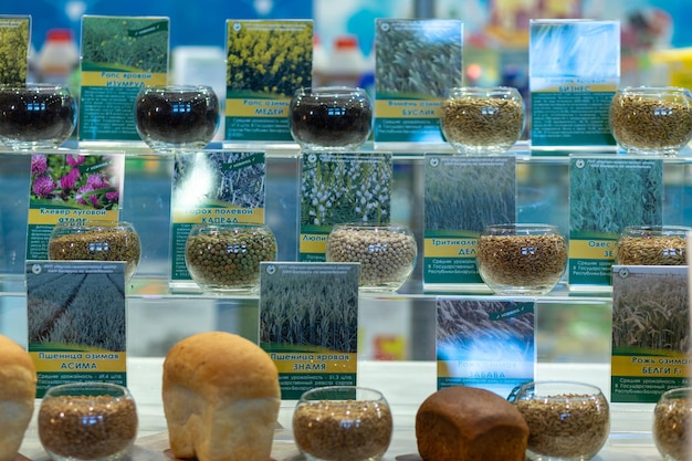 Vasos de vidrio con diferentes tipos de muestras de semillas en estantes