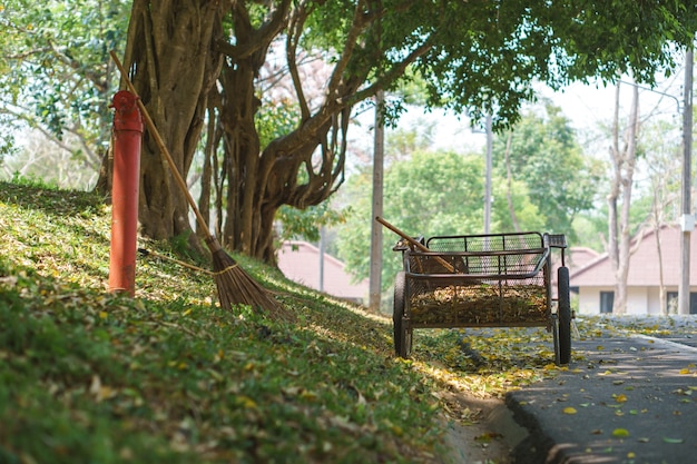 Vassoura e carrinho para limpeza de folhas no chão