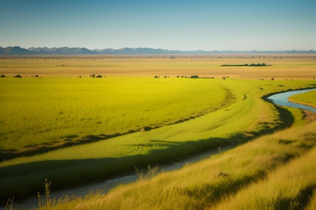 La vasta pradera se ve muy lejos Hermoso entorno natural fondo de pantalla fotografía de fondo