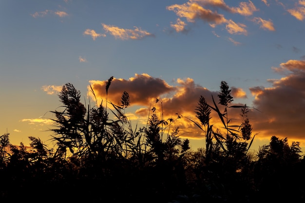 Vastas nubes moteadas de color naranja forman un cuenco en el cielo del atardecer de otoño en forma de cuenco semidesértico de otoño