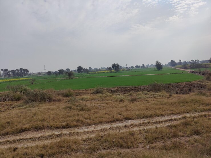 Vastas terras agrícolas