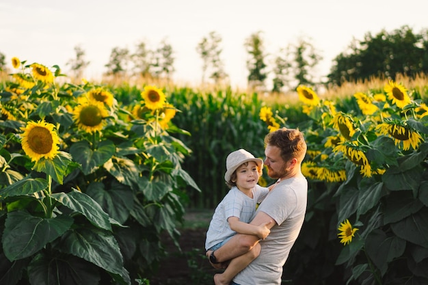 Vater mit kleinem Sohn im Sonnenblumenfeld während der goldenen Stunde Vater und Sohn sind in der Natur aktiv