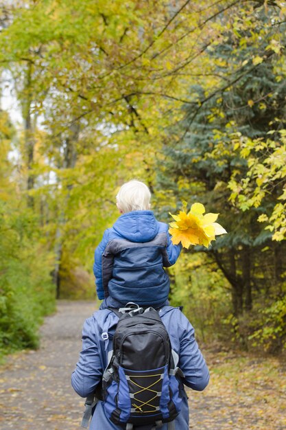 Vater mit seinem Sohn auf den Schultern im Herbstwald spazieren. Rückansicht