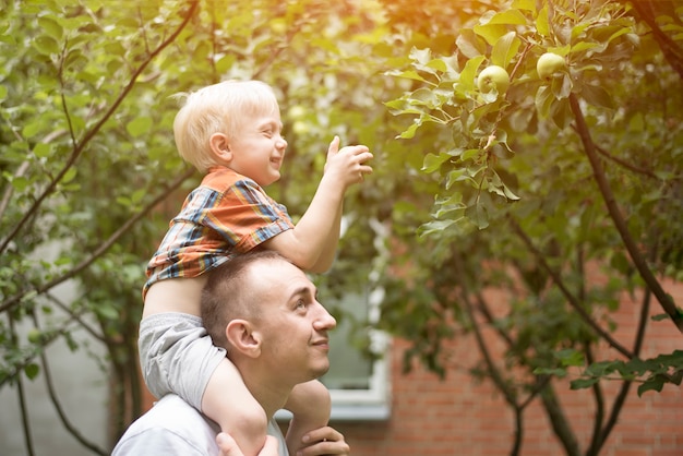 Vater und der kleine Sohn ernten Äpfel