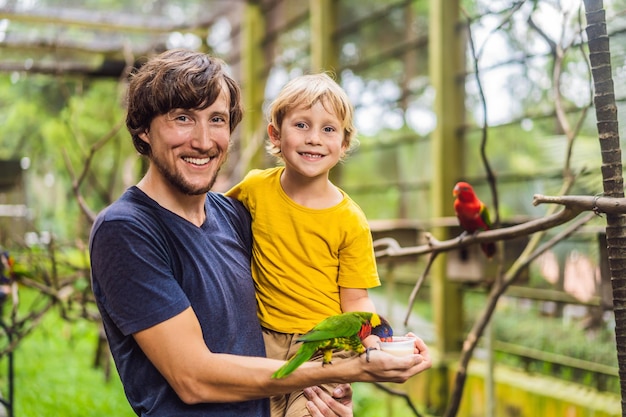 Vater und Sohn füttern den Papagei im Park Zeit mit dem Kinderkonzept verbringen