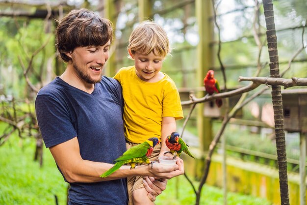 Vater und Sohn füttern den Papagei im Park Zeit mit dem Kinderkonzept verbringen