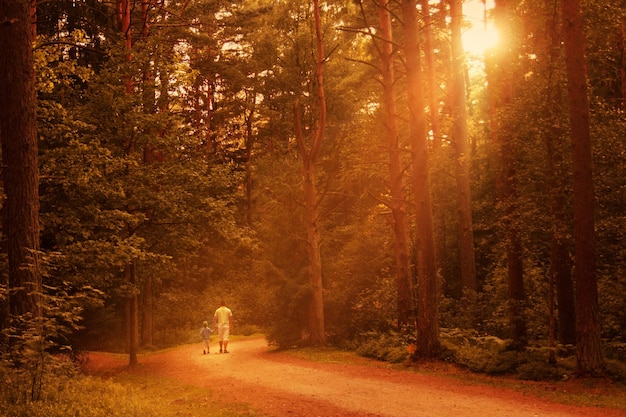 Vater und Sohn gehen im Wald bei Sonnenuntergang glückliche Familie im Freien