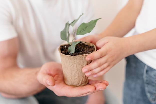 Vater und Sohn halten Topf der Pflanze