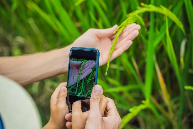 Vater und Sohn identifizieren Pflanzen mithilfe der Augmented-Reality-Anwendung auf einem Smartphone