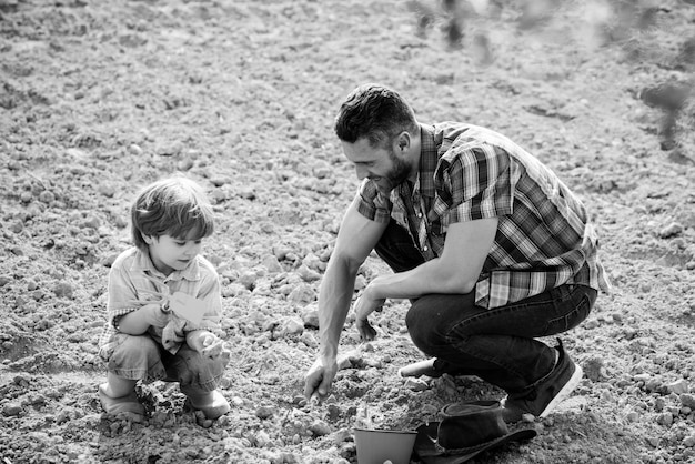 Vater und Sohn pflanzen Setzling im Boden auf Garten Vater und Sohn pflanzen Vater und Sohn arbeiten weiter