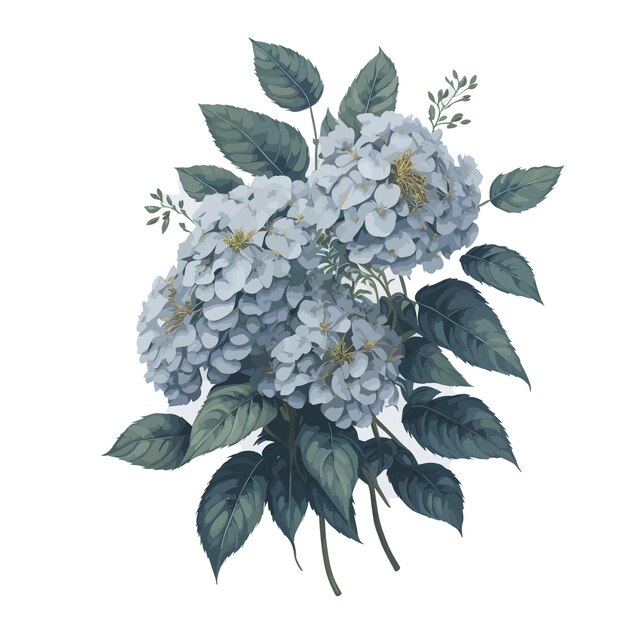 Vector acuarela montaña hortensia clipart flor floral