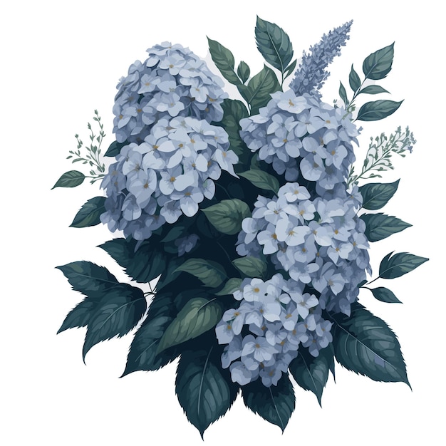 Foto vector acuarela montaña hortensia clipart flor floral