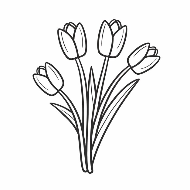 Vector de contorno de la flor del tulipán