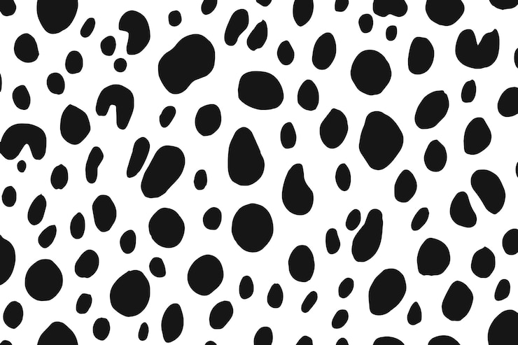 Foto vector de 6000 x 4000 pixels