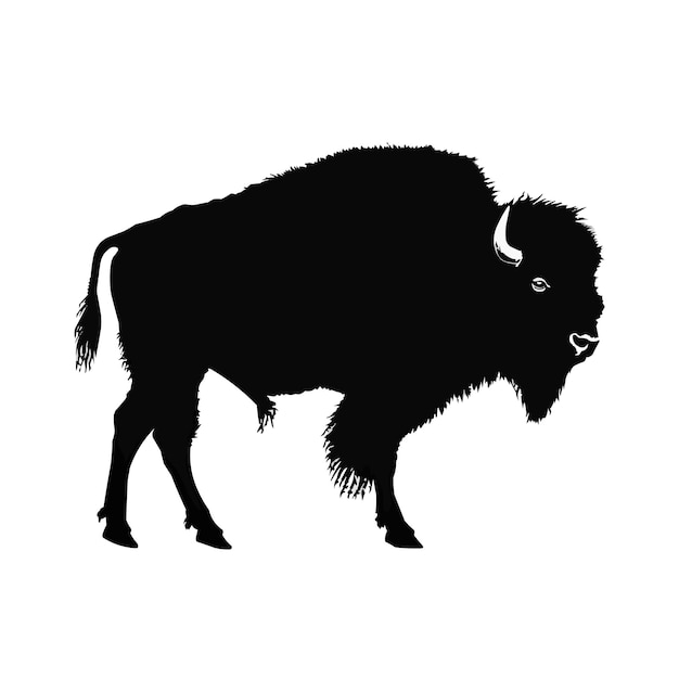 Foto vector de silhueta de bisonte americano um clipart de animal de bisonte