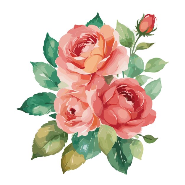 Vector de diseño floral rosa sobre un fondo blanco